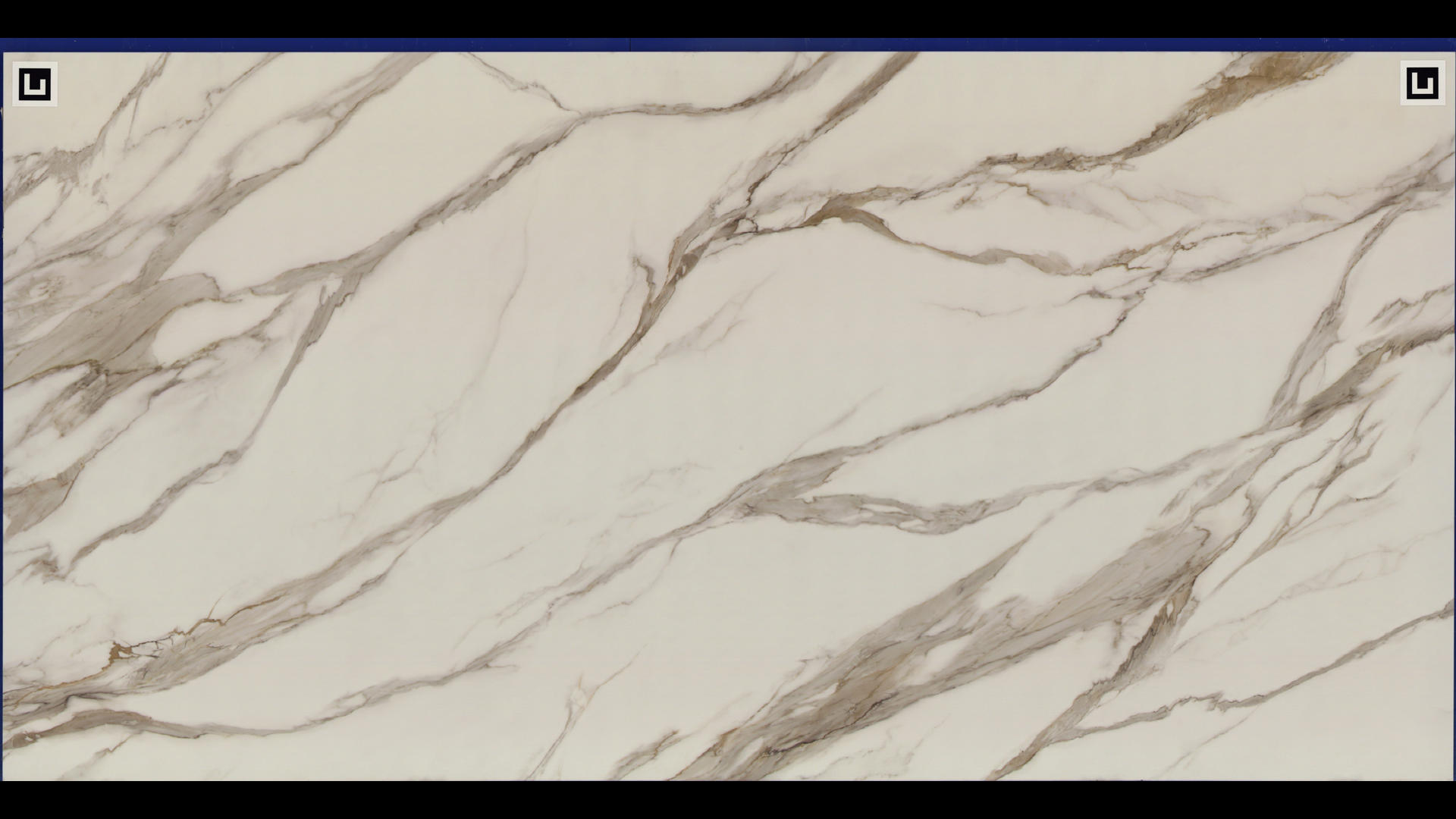 REVOLUX CALACATTA BORGHINI LUX - R Quartz Slabs