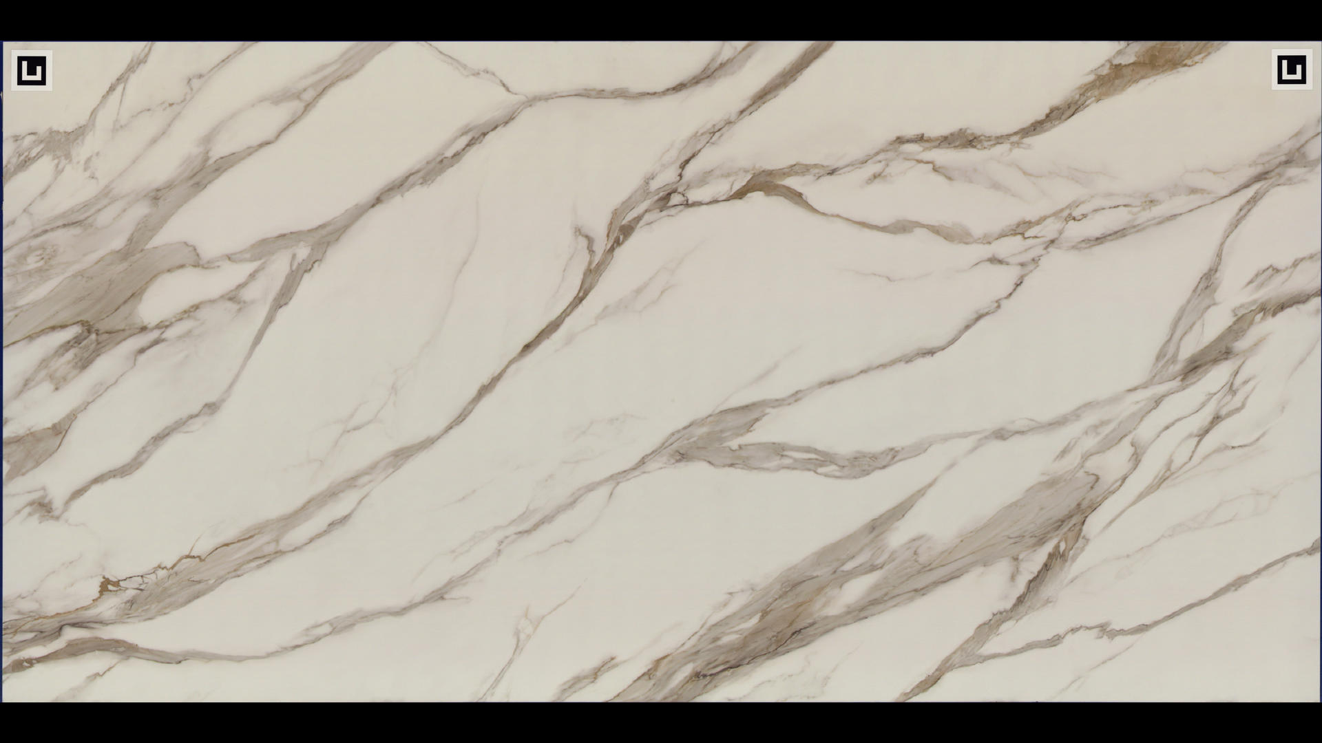 REVOLUX CALACATTA BORGHINI LUX - L Quartz Slabs