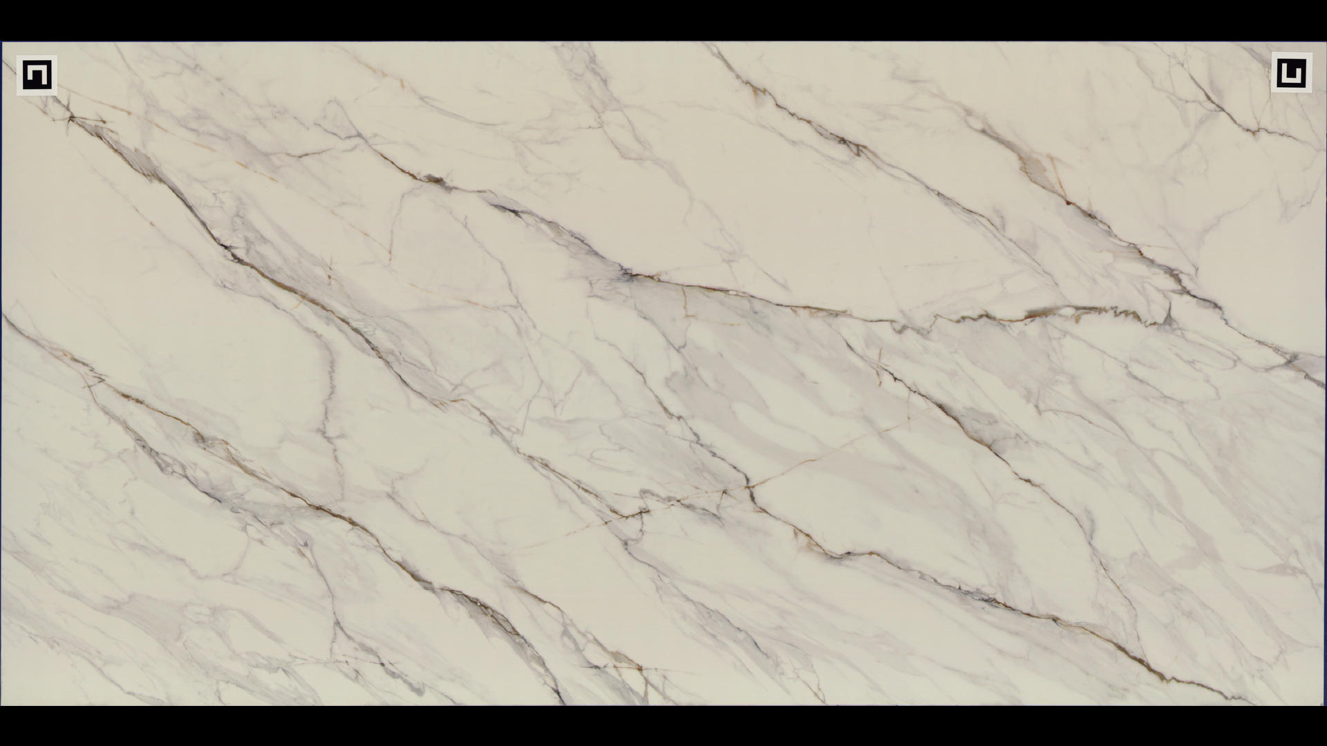REVOLUX CALACATTA LINCOLN LUX - R Quartz Slabs