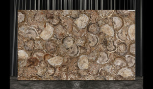 BROWN PETRIFIED WOOD Quartzite