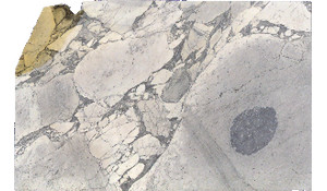 Arabescato Cervaiole Marble