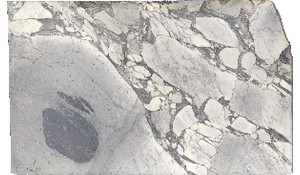 Arabescato Cervaiole Marble