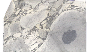 Arabescato Cervaiole Marble
