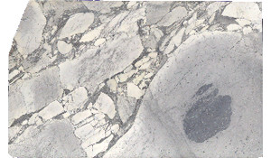 Arabescato Cervaiole Marble