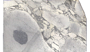 Arabescato Cervaiole Marble