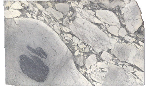 Arabescato Cervaiole Marble