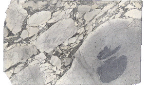 Arabescato Cervaiole Marble