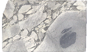 Arabescato Cervaiole Marble