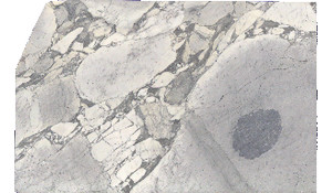 Arabescato Cervaiole Marble