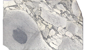 Arabescato Cervaiole Marble