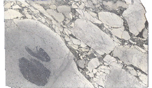 Arabescato Cervaiole Marble