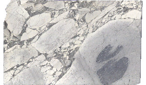 Arabescato Cervaiole Marble