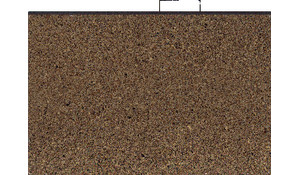 Sienna Ridge Silestone