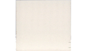 Calico White Q Quartz