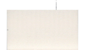 Calico White Q Quartz