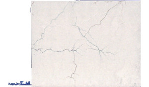 Calacatta Miraggio Seaglass