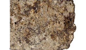 Golden Beach Granite