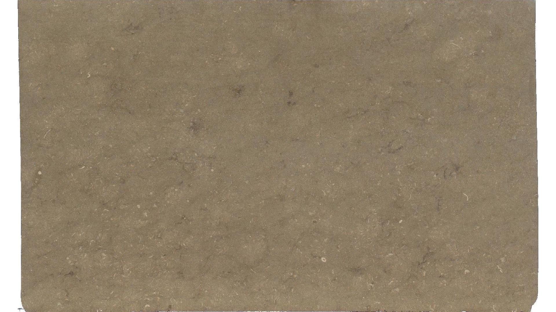 Seagrass Limestone Slabs