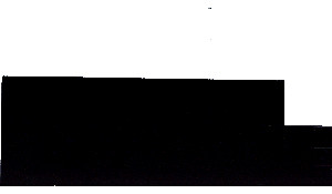 Premium Black Granite