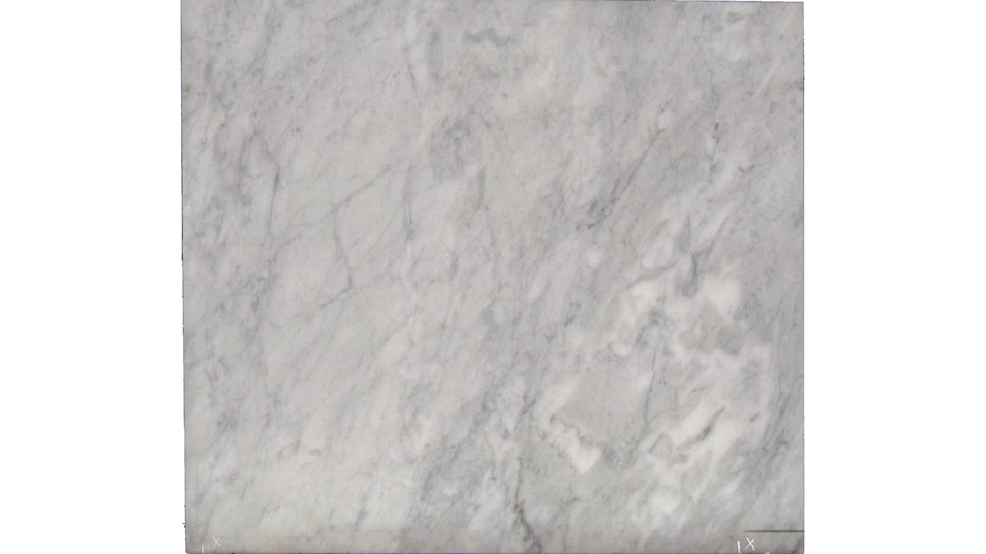 Carrara Silver Honed Marble Slabs