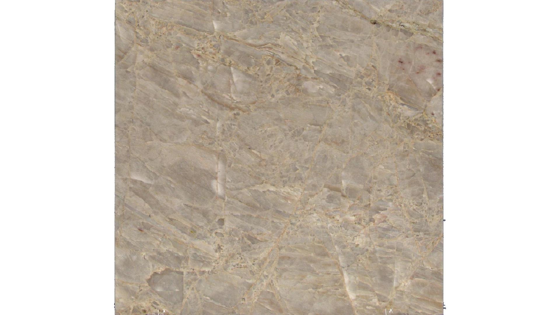 Elegance White Quartzite Slabs