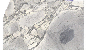 Arabescato Cervaiole Marble