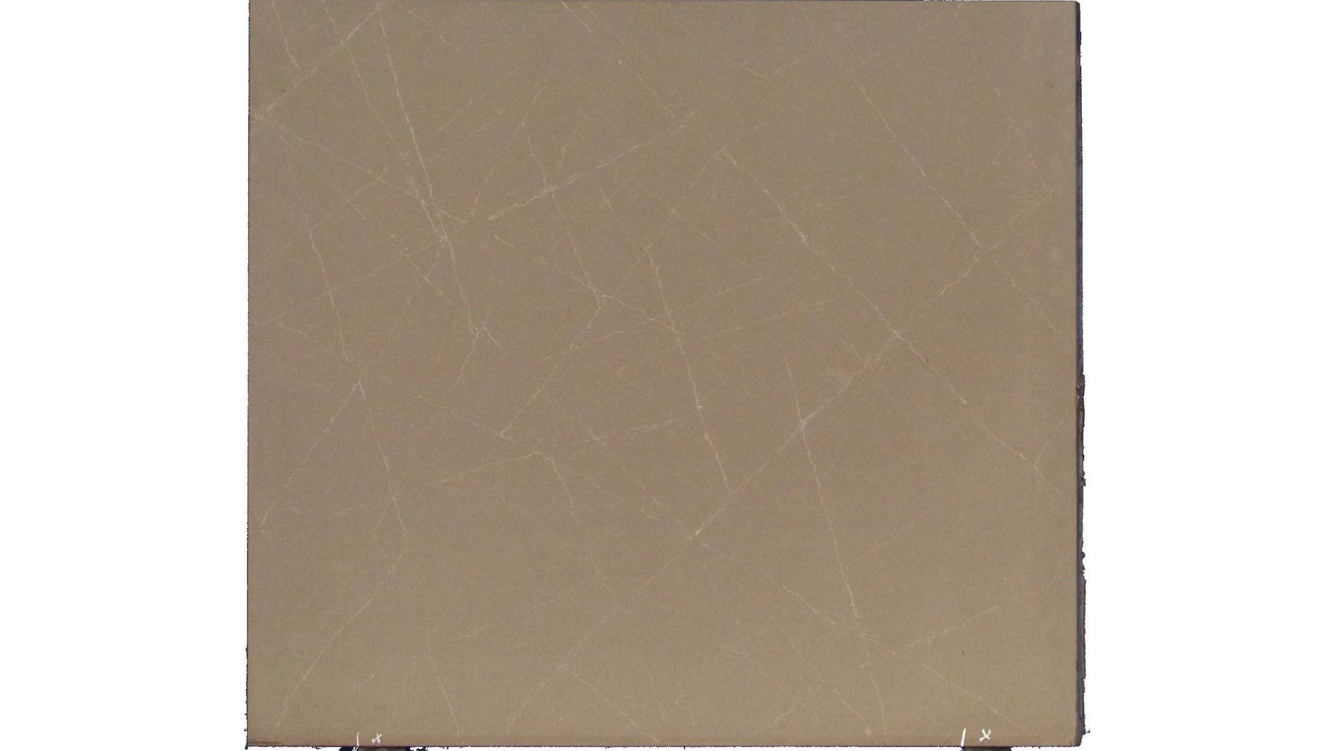 Urban Safari CS Quartz Slabs