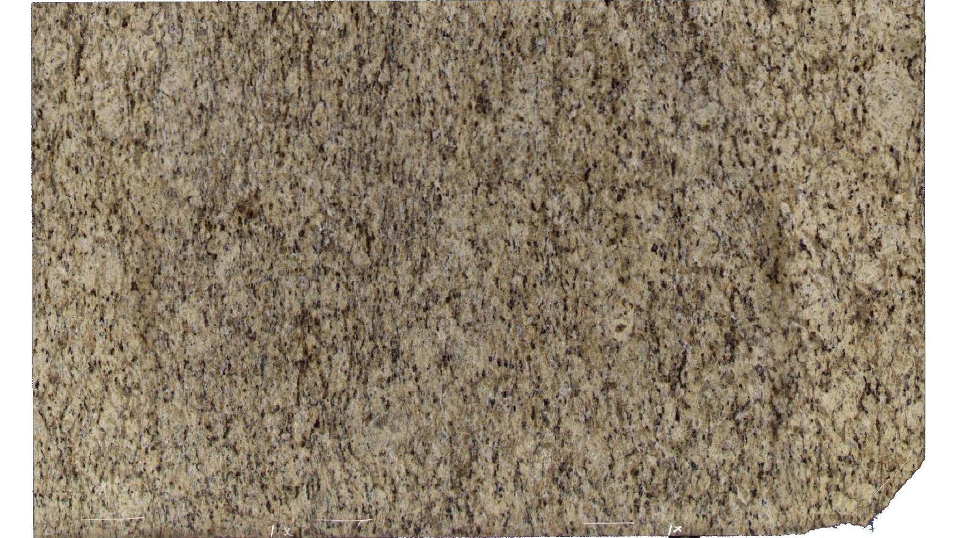 Giallo Ornamental Granite Slabs