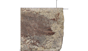 White Spring Granite