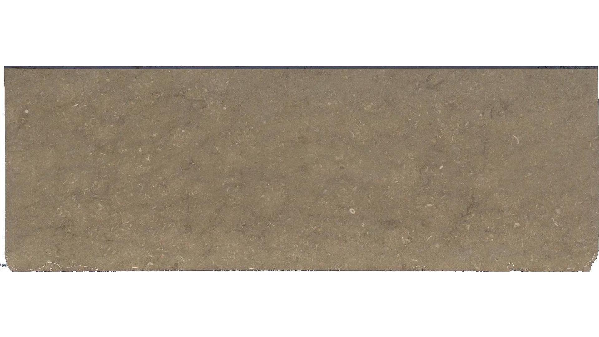 Seagrass Limestone Slabs