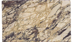 Calacatta Viola Marble