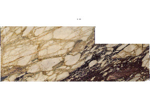 Calacatta Viola