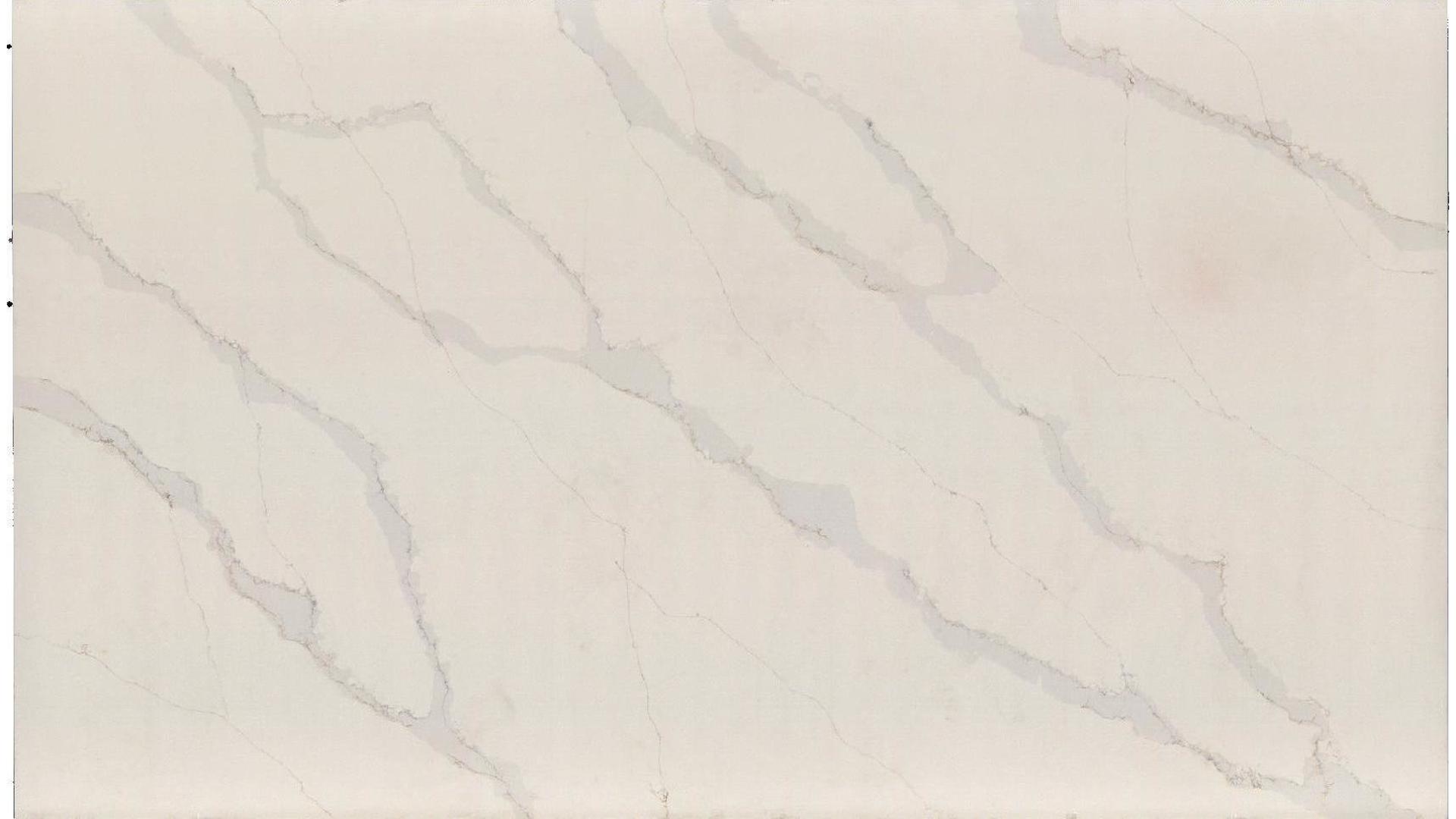 Calacatta Panthoen SQ Quartz Slabs