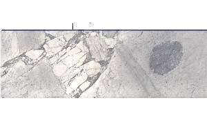 Arabescato Cervaiole Marble