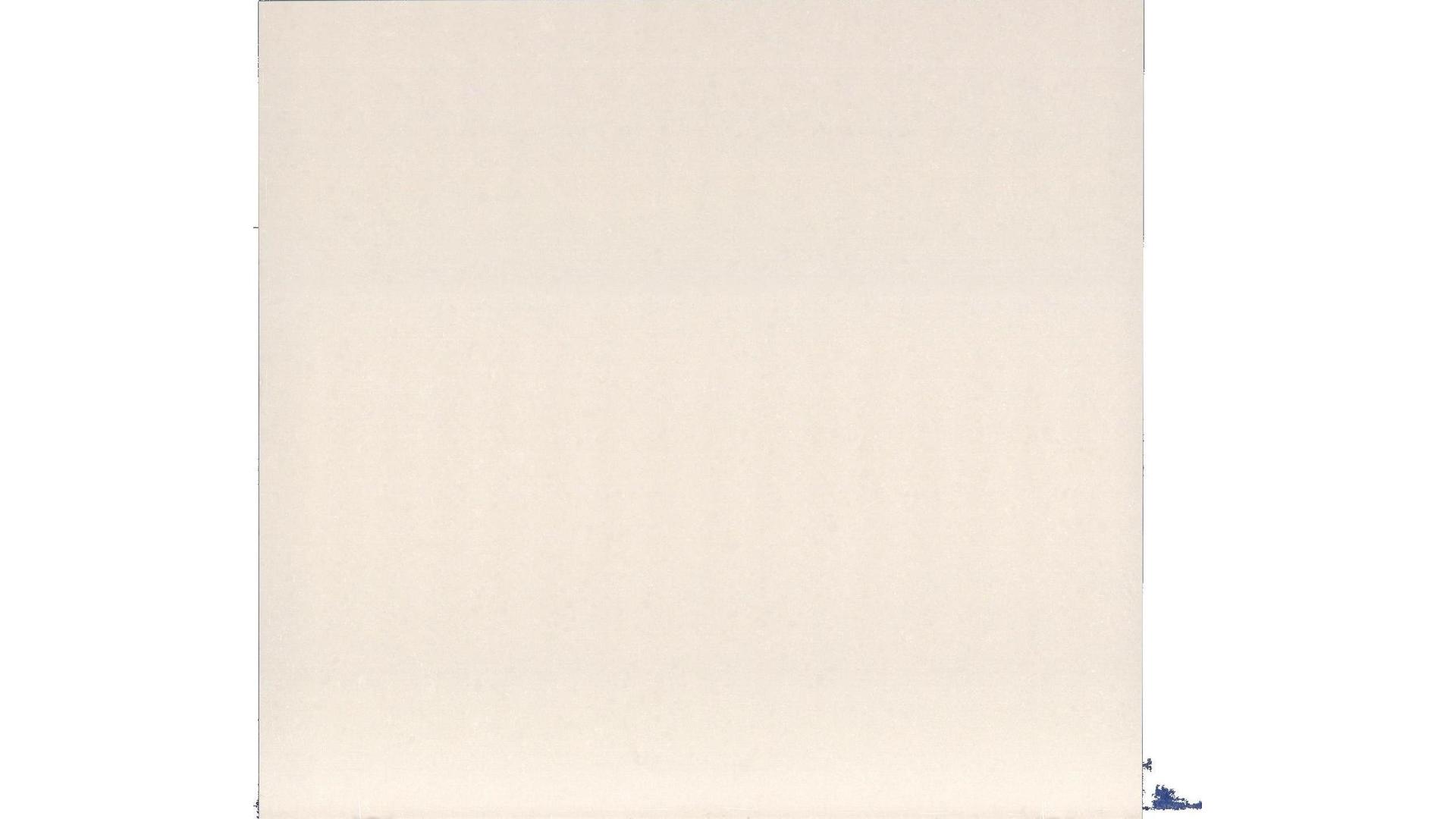 Organic White CS Quartz Slabs
