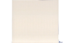 Organic White CS Quartz
