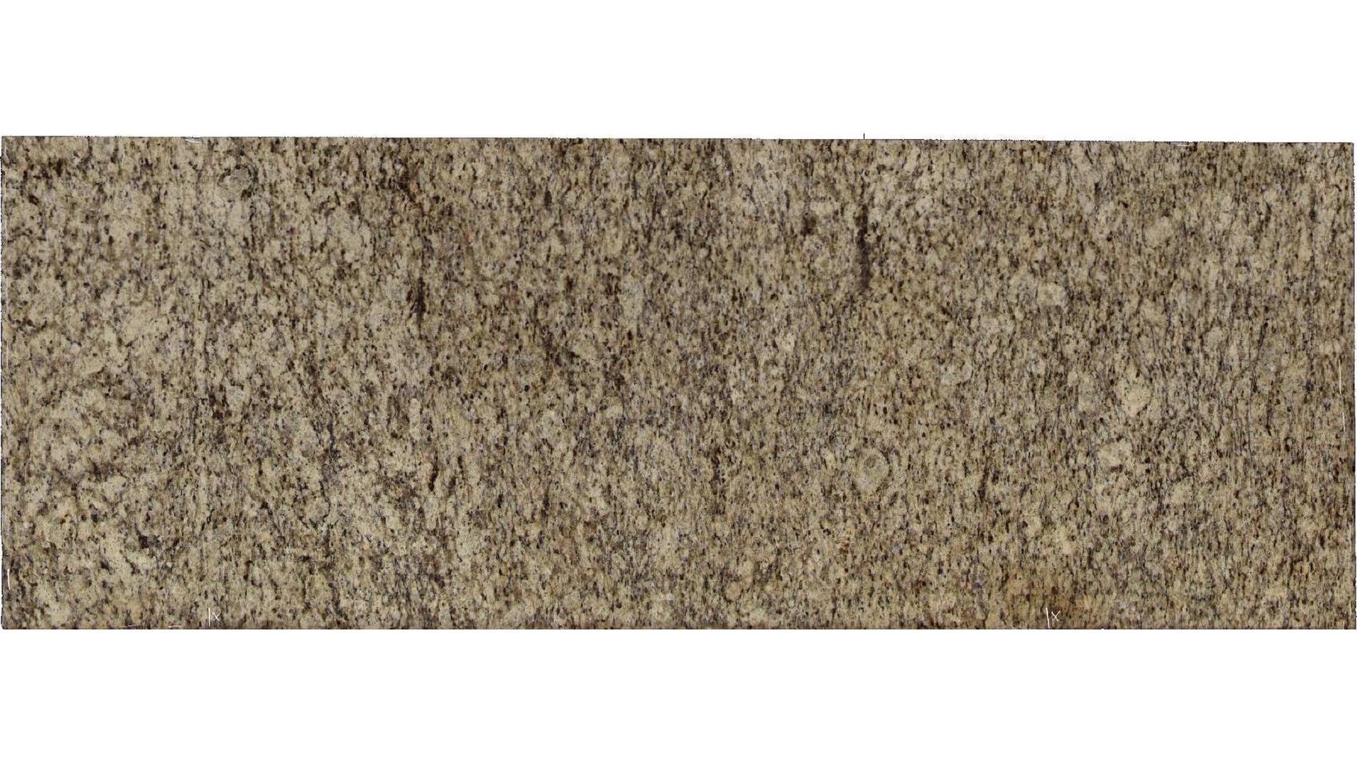 Giallo Ornamental Granite Slabs