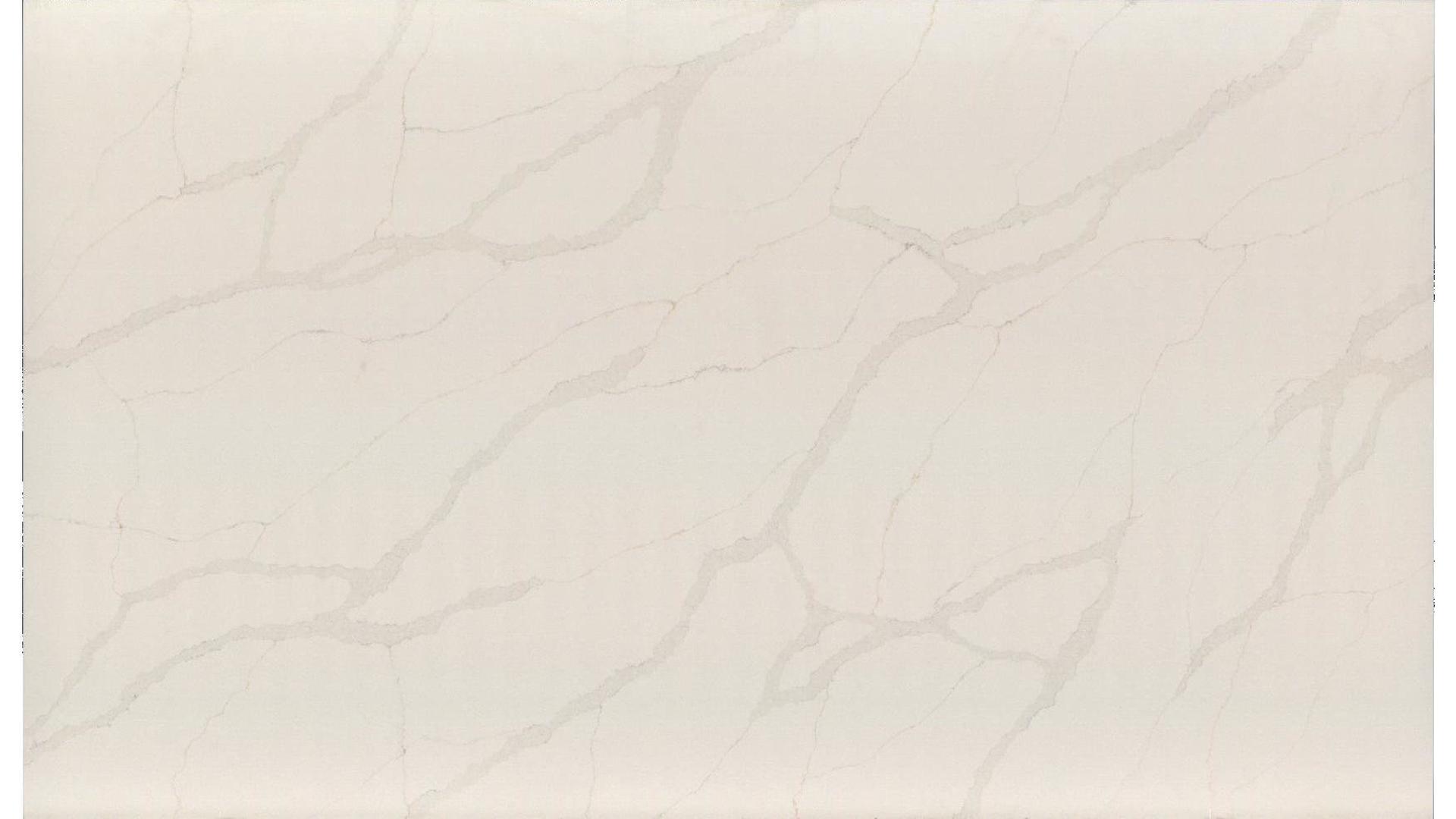 Calacatta Lore SQ Quartz Slabs