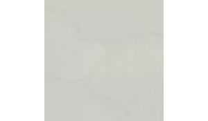 Calacatta Nuvo Quartz