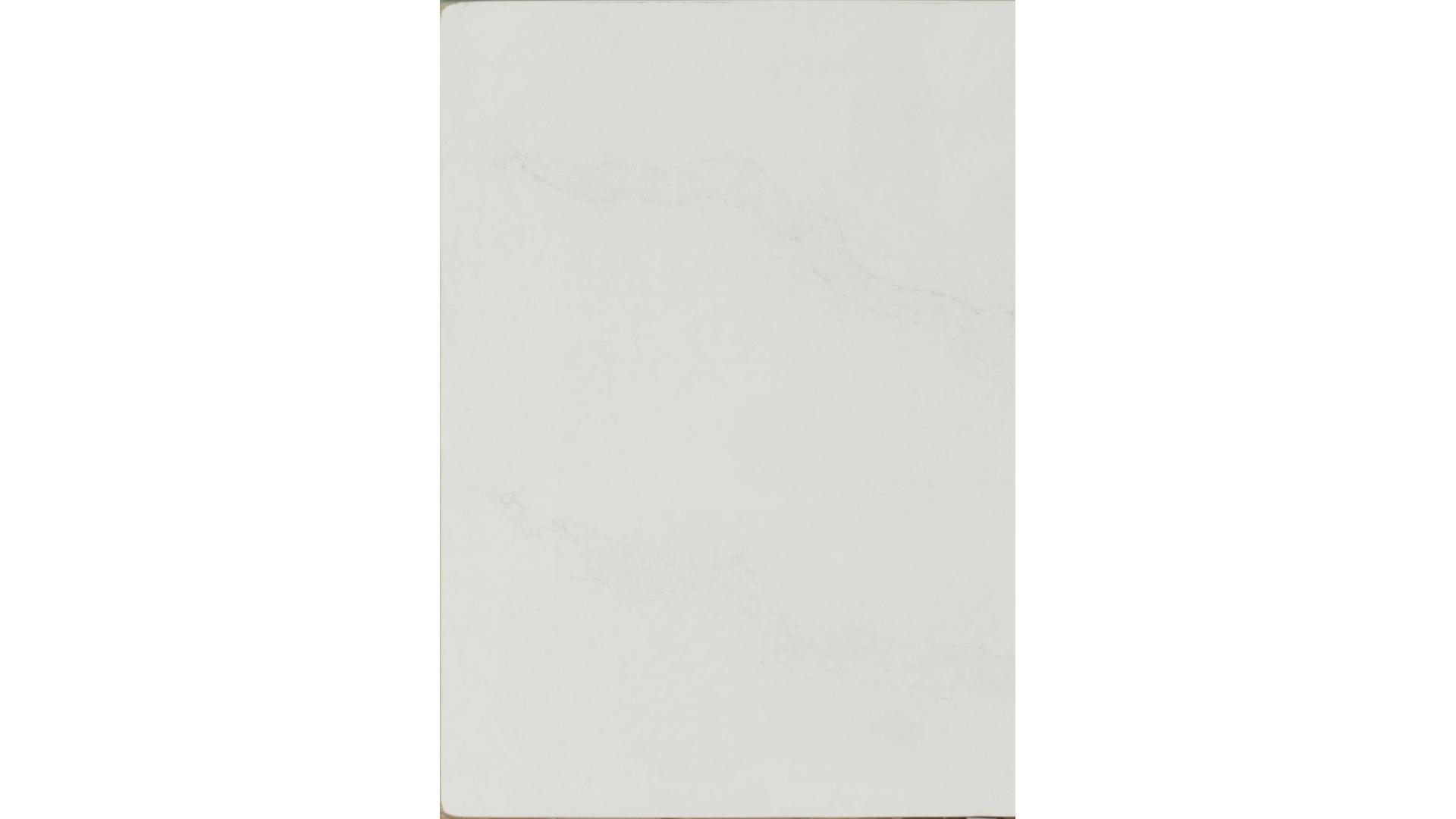 Calacatta Nuvo Quartz Slabs