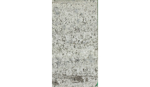 Enchanted Forest Granite