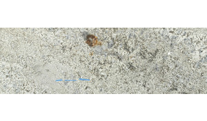 Saddle White Granite