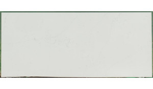 Calacatta Botanica Quartz