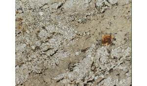 SUNSET CANYON Granite