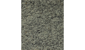 Napoli White Granite