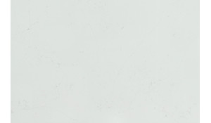 Calacatta Botanica Quartz