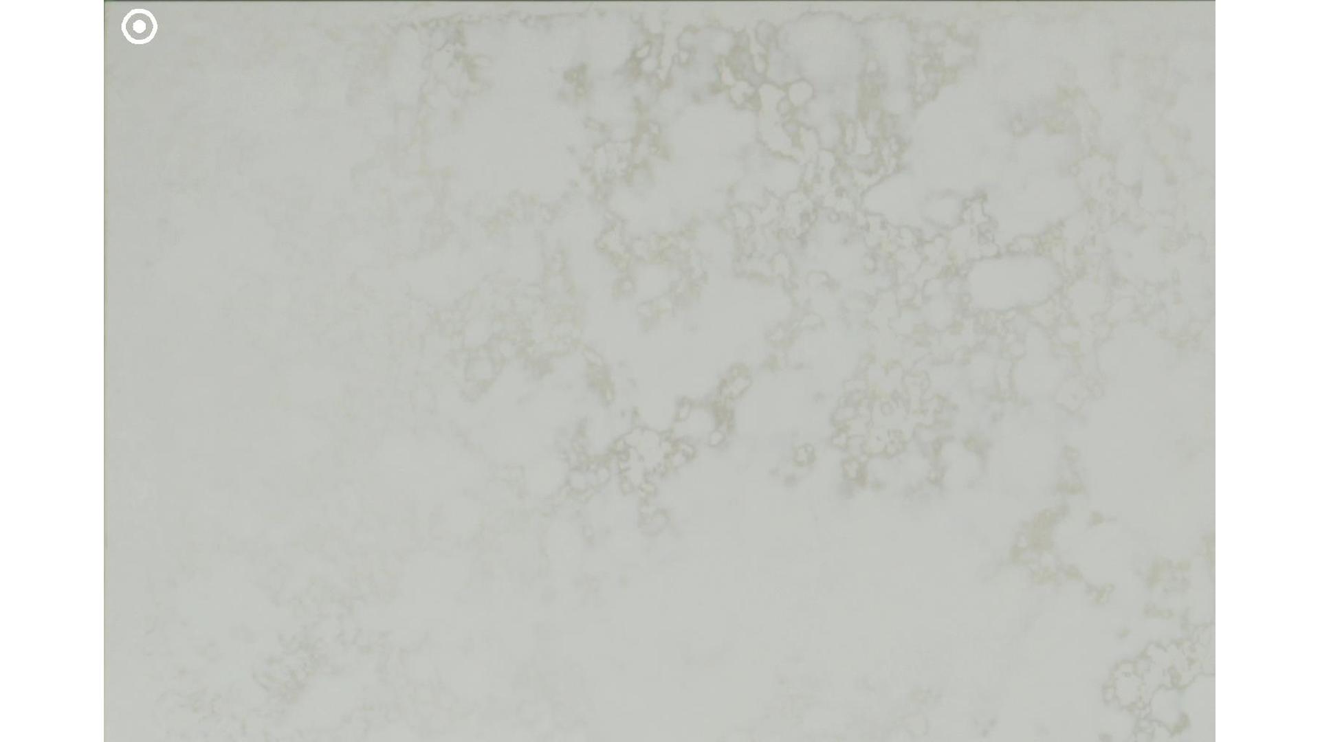 Altamonte Quartz Slabs