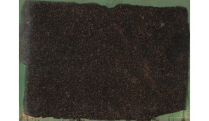 Tan Brown Granite