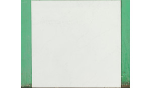 Calacatta Botanica Quartz