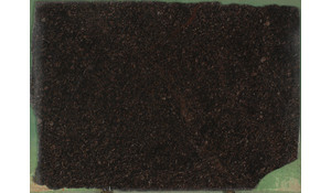 Tan Brown Granite
